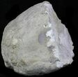 Keokuk Geode With Large Crystals (Half) #33958-3